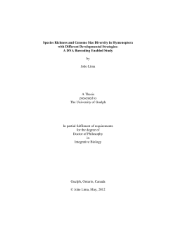 PhD thesis_JLima - The Atrium