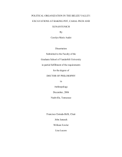 POLITICAL ORGANIZATION IN THE BELIZE VALLEY