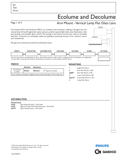 Emco Ecolume and Decolume - Full Cutoff Vertical