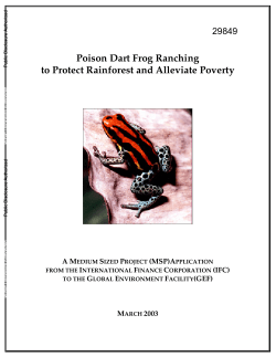 Poison Dart Frog Ranching to Protect Rainforest and