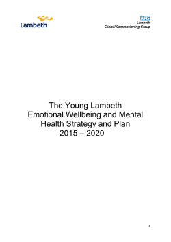 The Young Lambeth Emotional Wellbeing and Mental Health