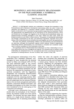 monophyly and phylogenetic relationships of the