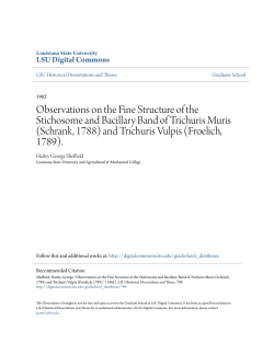 Observations on the Fine Structure of the Stichosome and Bacillary