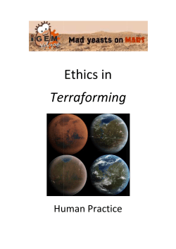 Ethics in Terraforming