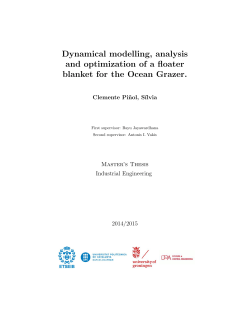 Dynamical modelling, analysis and optimization of a