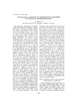 cytological aspects of information transfer in cellular differentiation