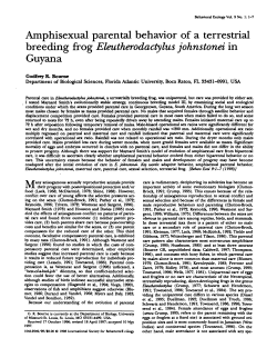 Amphisexual parental behavior of a terrestrial