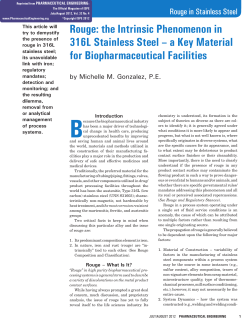 Rouge: the Intrinsic Phenomenon in 316L Stainless Steel