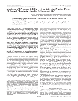Interferon / Promotes Cell Survival by Activating Nuclear Factor B