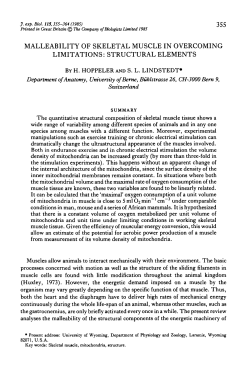 malleability of skeletal muscle in overcoming limitations: structural