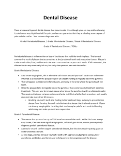 Dental Disease - All Feline Hospital