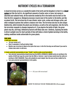 NUTRIENT CYCLES IN A TERRARIUM