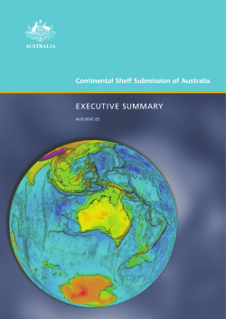 executive summary - the United Nations