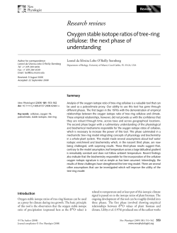 Oxygen stable isotope ratios of tree-ring cellulose: the next phase of