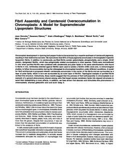 Fibril Assembly and Carotenoid Overaccumulation in Chromoplasts