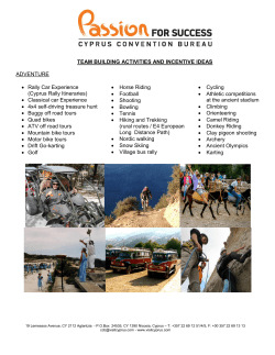 TEAM BUILDING ACTIVITIES AND INCENTIVE IDEAS