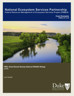 Case Examples - Sites @ The Nicholas Institute