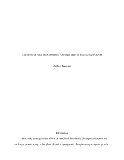 The Effects of Fungi and Commercial Antifungal Spray on Brassica