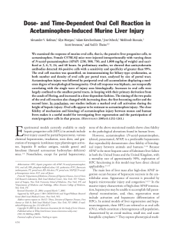 Dose- and time-dependent oval cell reaction in acetaminophen