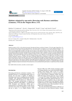 Habitats colonized by non-native flowering rush