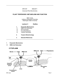 cytoplasm lumen - Washington State University