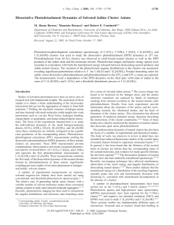 Dissociative Photodetachment Dynamics of Solvated Iodine Cluster