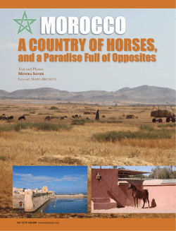 a country of horses