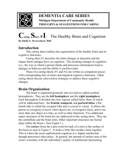 DEMENTIA CARE SERIES Caring Sheet #1: The Healthy Brain and