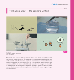 Think Like a Crow!&mdash;The Scientific Method