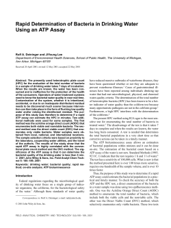 Rapid Determination of Bacteria in Drinking Water