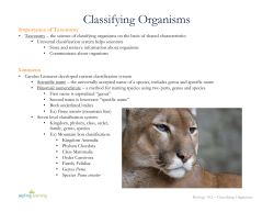Classifying Organisms