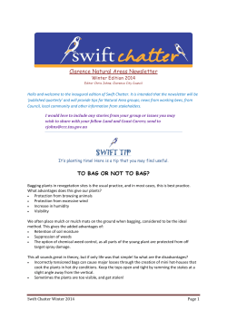Swift Chatter - Winter 2014