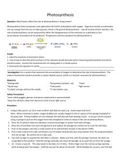 Photosynthesis - Helena High School