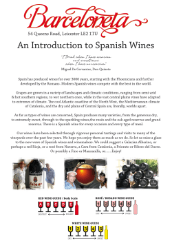 An Introduction to Spanish Wines