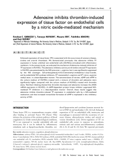 Adenosine inhibits thrombin-induced expression of tissue factor on