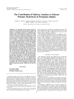 The Contribution of Salivary Amylase to Glucose Polymer