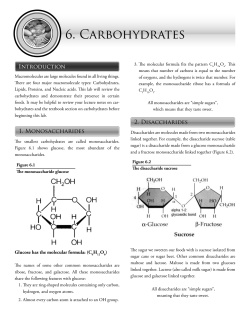 Carbohydrates Lab