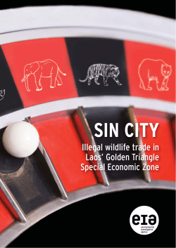 Sin City - Environmental Investigation Agency