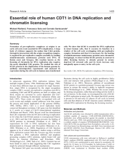 Cdt1 controls human DNA replication - Journal of Cell Science