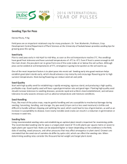 Tips for Seeding Peas - Saskatchewan Pulse Growers