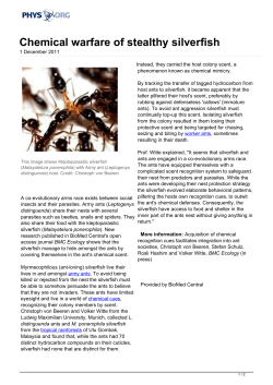 Chemical warfare of stealthy silverfish