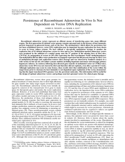 Persistence of Recombinant Adenovirus In Vivo Is Not