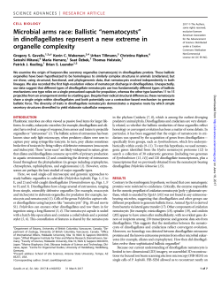 Microbial arms race: Ballistic &ldquo;nematocysts&rdquo; in dinoflagellates