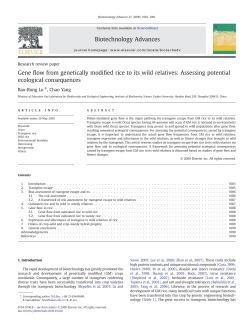 Gene flow from genetically modified rice to its wild relatives