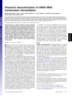Structural characterization of mRNA-tRNA