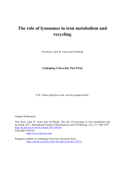 The role of lysosomes in iron metabolism and recycling