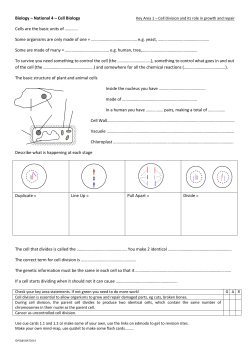 Biology – National 4 – Cell Biology Cells are the basic units of