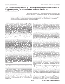 The Polyphosphate Bodies of Chlamydomonas