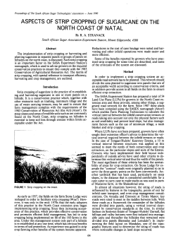 ASPECTS OF STRIP CROPPING OF SUGARCANE ON THE