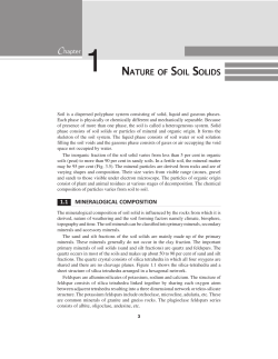 nature of s oils olids - New Age International